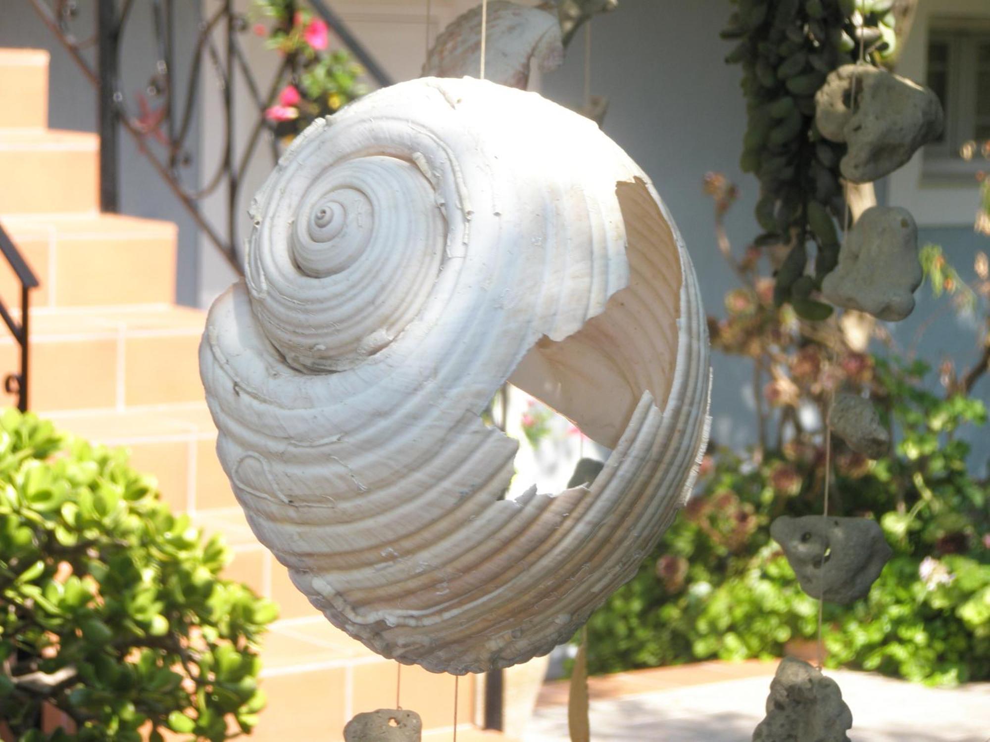 Aeolos Studios Kefalonia Khelmata Bagian luar foto